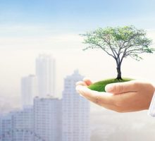 environmental-insurace-crop-600x338
